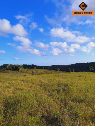 Imagem Imóvel com 2 Quartos à Venda, 500.000 m² em Itapecerica - Itanagra Imagem Imóvel com 2 Quartos à Venda, 500.000 m² em Itapecerica - Itanagra