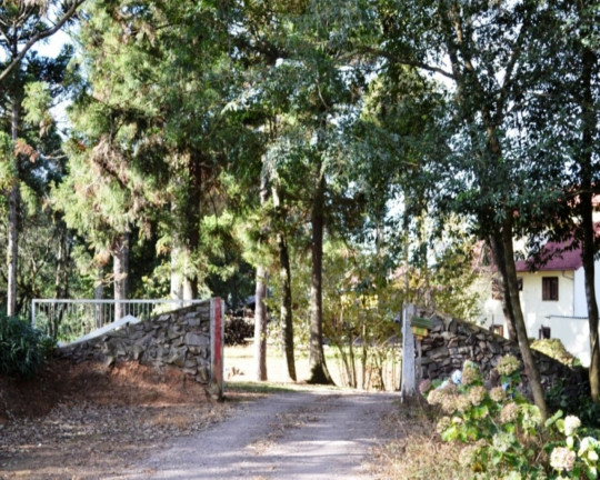 Imagem Imóvel com 4 Quartos à Venda,  em Piá - Nova Petrópolis