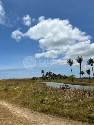 Imagem Terreno à Venda, 2.400 m² em Praia Da Xepa - São Miguel Do Gostoso Imagem Terreno à Venda, 2.400 m² em Praia Da Xepa - São Miguel Do Gostoso