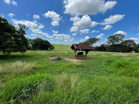 Imagem Imóvel à Venda, 25 m² em área Rural De São José Do Rio Preto - São José Do Rio Preto Imagem Imóvel à Venda, 25 m² em área Rural De São José Do Rio Preto - São José Do Rio Preto