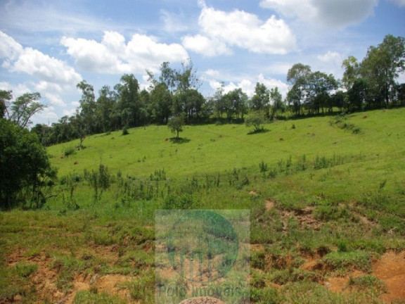 Imagem Imóvel com 4 Quartos à Venda, 1.694.000 m² em Zona Rural - Jacui