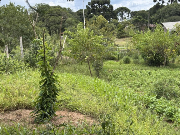 Imagem Imóvel à Venda, 5.500 m² em Rio Da Várzea - Quitandinha Imagem Imóvel à Venda, 5.500 m² em Rio Da Várzea - Quitandinha