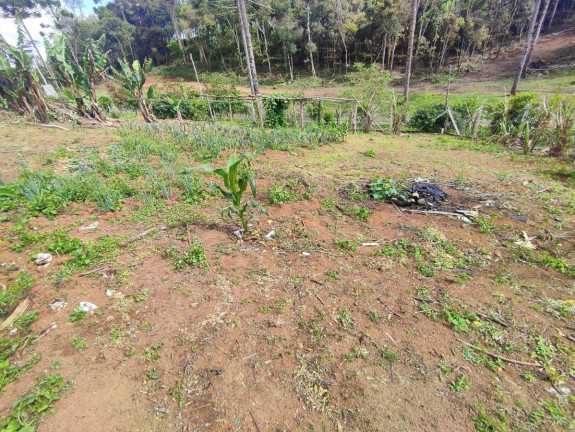 Imagem Chácara à Venda, 1.200 m² em Zona Rural - Tijucas Do Sul Imagem Chácara à Venda, 1.200 m² em Zona Rural - Tijucas Do Sul
