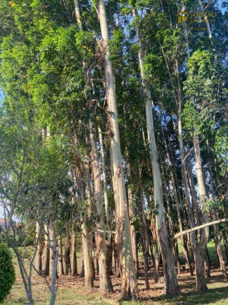 Imagem Chácara com 2 Quartos à Venda, 320 m² em Condomínio Terras De Santa Rosa - Salto Imagem Chácara com 2 Quartos à Venda, 320 m² em Condomínio Terras De Santa Rosa - Salto