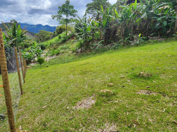 Imagem Terreno à Venda, 500 m² em São Pedro Da Serra - Nova Friburgo Imagem Terreno à Venda, 500 m² em São Pedro Da Serra - Nova Friburgo