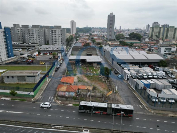 Imagem Terreno para Alugar, 350 m² em Aricanduva - São Paulo Imagem Terreno para Alugar, 350 m² em Aricanduva - São Paulo