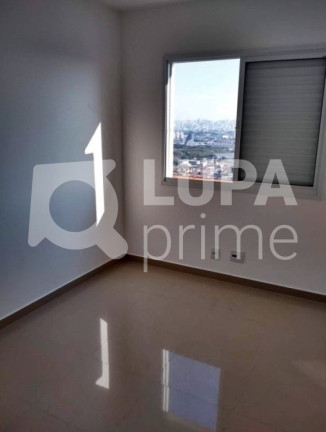 Imagem Apartamento com 3 Quartos para Alugar, 77 m² em Vila Maria Alta - São Paulo Imagem Apartamento com 3 Quartos para Alugar, 77 m² em Vila Maria Alta - São Paulo