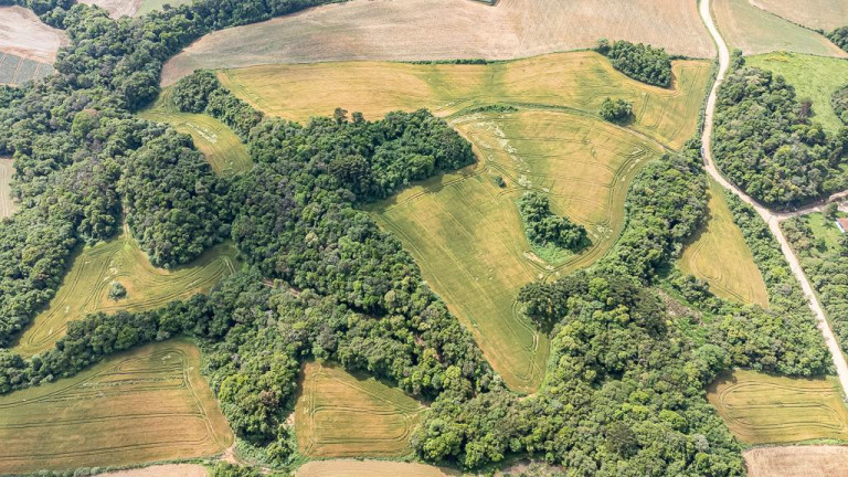 Imagem Terreno à Venda, 145.200 m² em Vila Dom Pedro Ii - Campo Largo