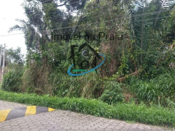 Terreno à Venda, 490 m² em Jardim Das Gaivotas - Caraguatatuba