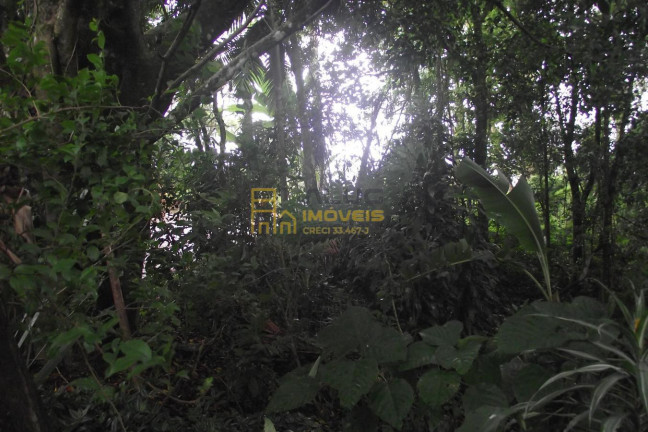Imagem Terreno à Venda, 2.358 m² em Parque Alvorada - Santana De Parnaíba Imagem Terreno à Venda, 2.358 m² em Parque Alvorada - Santana De Parnaíba