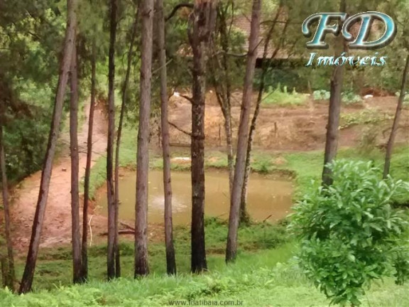 Imagem Fazenda à Venda, 1.113.200 m² em Terra Preta - Mairiporã Imagem Fazenda à Venda, 1.113.200 m² em Terra Preta - Mairiporã