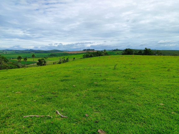Imagem Imóvel com 2 Quartos à Venda, 338.800 m² em Centro - Itapetininga Imagem Imóvel com 2 Quartos à Venda, 338.800 m² em Centro - Itapetininga