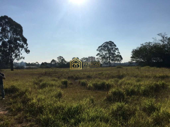 Imagem Terreno à Venda ou Locação, 28.000 m² em Cooperativa - São Bernardo Do Campo