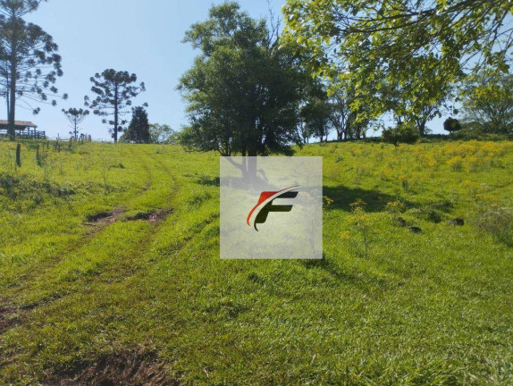 Imagem Fazenda à Venda, 1.936.000 m² em Guampará - Marquinho Imagem Fazenda à Venda, 1.936.000 m² em Guampará - Marquinho