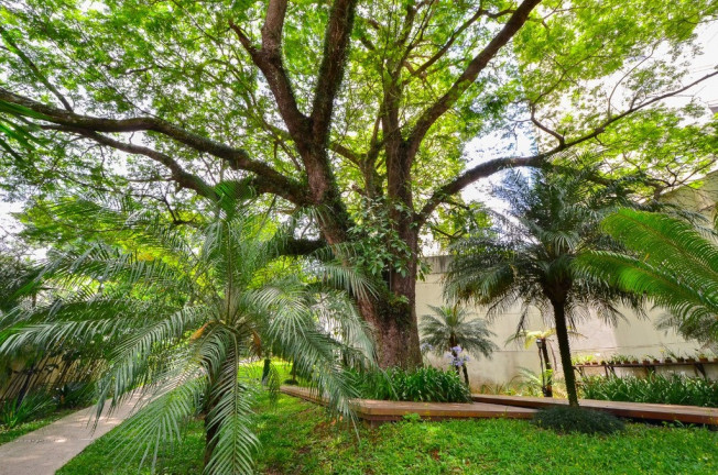 Imagem Cobertura com 4 Quartos à Venda, 210 m² em Vila Sofia - São Paulo