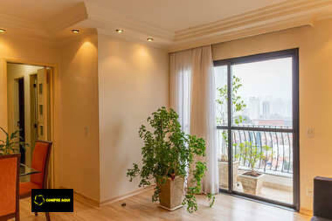 Imagem Apartamento com 3 Quartos à Venda, 71 m² em Cambuci - São Paulo Imagem Apartamento com 3 Quartos à Venda, 71 m² em Cambuci - São Paulo