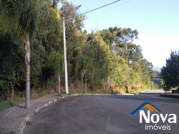 Imagem Imóvel à Venda,  em Canto Akermann - Nova Petrópolis