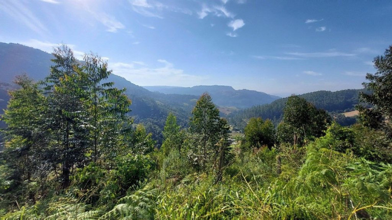 Imagem Terreno à Venda, 198.000 m² em Zona Rural - Presidente Nereu Imagem Terreno à Venda, 198.000 m² em Zona Rural - Presidente Nereu