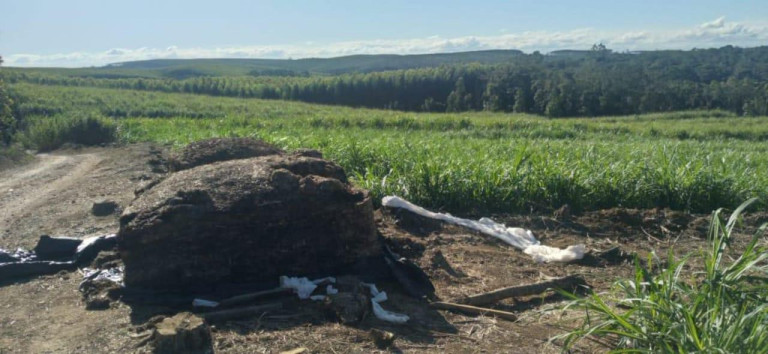 Imagem Chácara à Venda, 19 m² em Rural - Capão Bonito Imagem Chácara à Venda, 19 m² em Rural - Capão Bonito