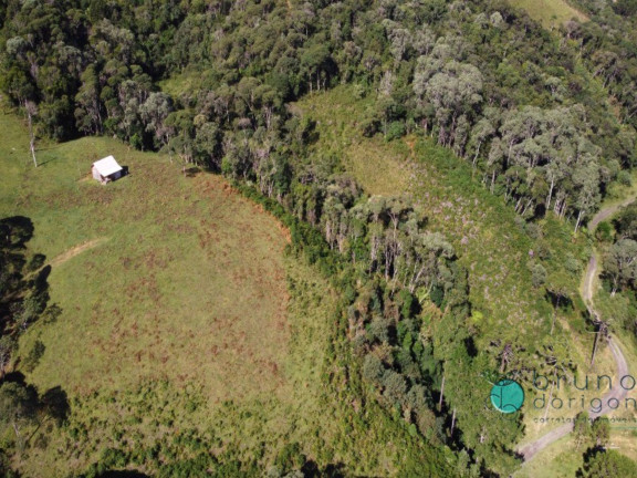 Imagem Imóvel à Venda, 120.000 m² em Zona Rural - Alfredo Wagner Imagem Imóvel à Venda, 120.000 m² em Zona Rural - Alfredo Wagner