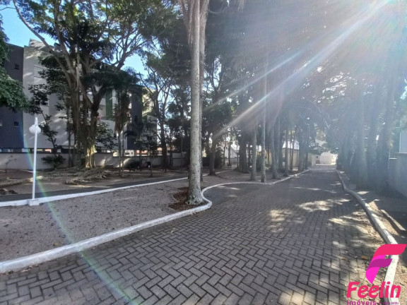 Imagem Apartamento com 3 Quartos à Venda, 70 m² em Ribeirão Da Ilha - Florianópolis Imagem Apartamento com 3 Quartos à Venda, 70 m² em Ribeirão Da Ilha - Florianópolis