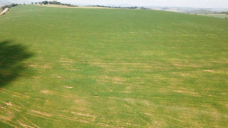 Imagem Fazenda à Venda, 120 m² em Zona Rural - Cruzília Imagem Fazenda à Venda, 120 m² em Zona Rural - Cruzília