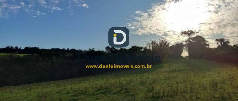 Imagem Terreno à Venda, 45.000 m² em Tancredo Neves - Santa Maria Imagem Terreno à Venda, 45.000 m² em Tancredo Neves - Santa Maria