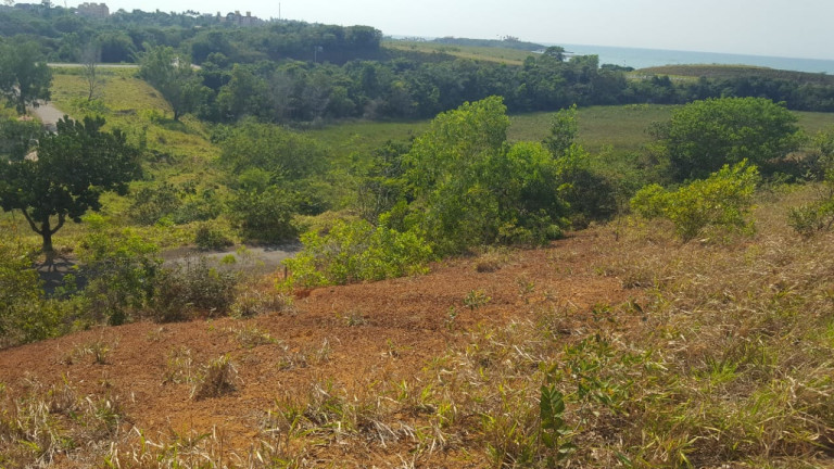 Imagem Terreno à Venda, 300 m² em Meaípe - Guarapari