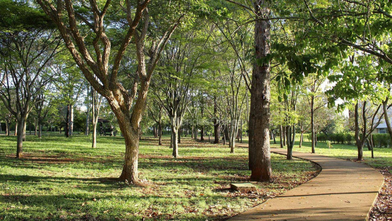 Imagem Casa com 4 Quartos à Venda, 400 m² em Lago Azul Condomínio E Golfe Clube - Araçoiaba Da Serra Imagem Casa com 4 Quartos à Venda, 400 m² em Lago Azul Condomínio E Golfe Clube - Araçoiaba Da Serra