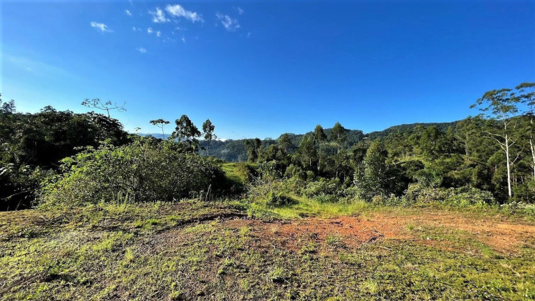 Imóvel com 4 Quartos à Venda, 20.000 m² em Zona Rural - Presidente Nereu