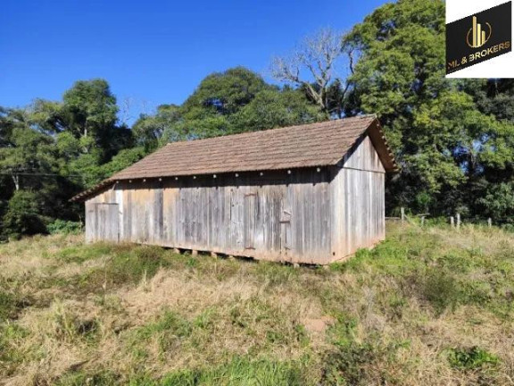 Imagem Imóvel com 2 Quartos à Venda, 20.000 m² em Zona Rural - Balsa Nova