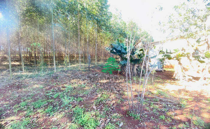 Imagem Chácara com 3 Quartos à Venda, 3.870 m² em Aparecidinha - Santa Terezinha De Itaipu