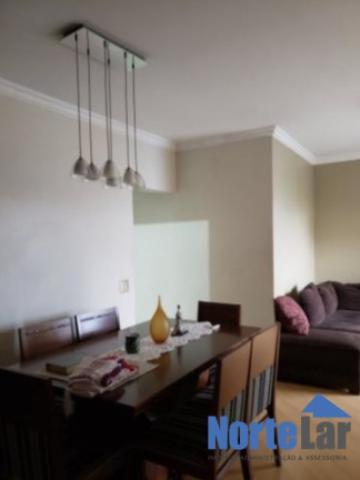 Imagem Apartamento com 3 Quartos à Venda, 73 m² em Limão - São Paulo