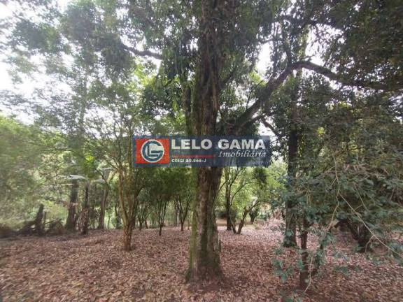 Imagem Terreno à Venda, 3 m² em Maria Mercedes - Santana De Parnaíba Imagem Terreno à Venda, 3 m² em Maria Mercedes - Santana De Parnaíba
