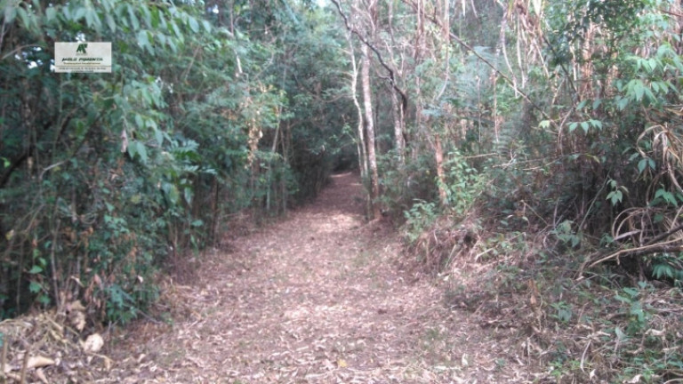 Imagem Terreno à Venda, 235.000 m² em Sorocamirim - São Roque Imagem Terreno à Venda, 235.000 m² em Sorocamirim - São Roque
