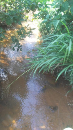 Imagem Imóvel à Venda,  em Região Central Do Tocantins - Pedro Afonso