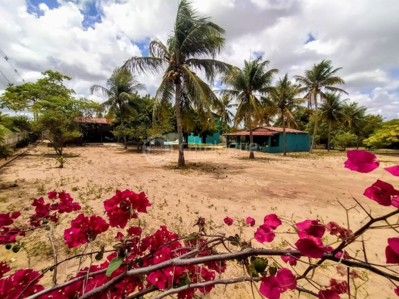 Imagem Fazenda à Venda, 6.400 m² em Pium - Nísia Floresta Imagem Fazenda à Venda, 6.400 m² em Pium - Nísia Floresta