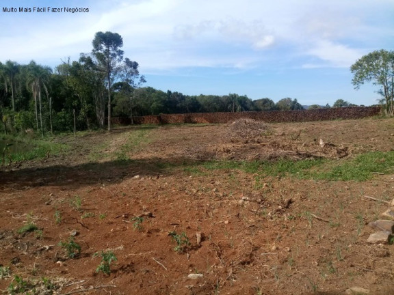 Imagem Terreno à Venda, 4 m² em Pinhal Alto - Nova Petrópolis