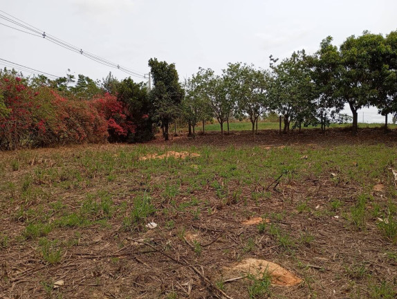 Imagem Chácara com 1 Quarto à Venda, 18.000 m² em Itarassú - Capela Do Alto Imagem Chácara com 1 Quarto à Venda, 18.000 m² em Itarassú - Capela Do Alto