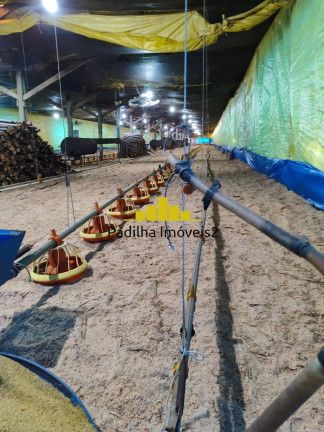 Imagem Fazenda à Venda, 30 m² em Itapetininga