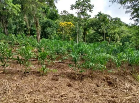 Imagem Fazenda à Venda, 33 m² em Centro - Morretes Imagem Fazenda à Venda, 33 m² em Centro - Morretes