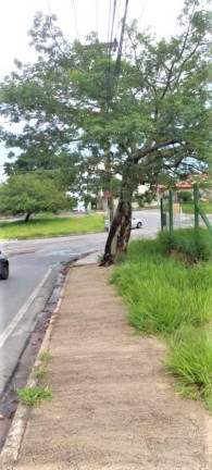 Imagem Casa com 2 Quartos à Venda, 216 m² em Campinas Imagem Casa com 2 Quartos à Venda, 216 m² em Campinas