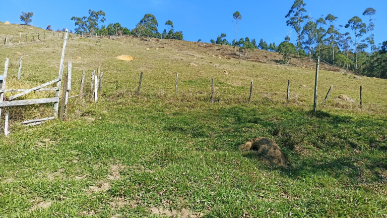 Imagem Chácara com 3 Quartos à Venda, 500 m² em Cedro - Paraibuna Imagem Chácara com 3 Quartos à Venda, 500 m² em Cedro - Paraibuna