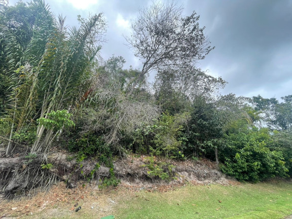 Terreno à Venda, 800 m² em Praia Do Forte - Mata De São João