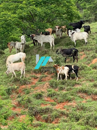 Imagem Fazenda à Venda, 30 m² em Azurita - Mateus Leme Imagem Fazenda à Venda, 30 m² em Azurita - Mateus Leme