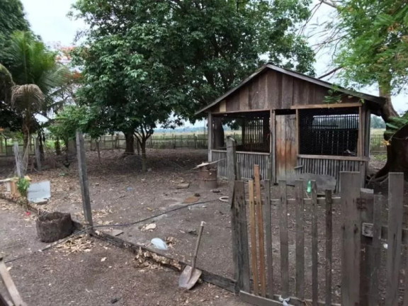 Imagem Fazenda à Venda, 1 m² em Zona Rural - Sinop Imagem Fazenda à Venda, 1 m² em Zona Rural - Sinop