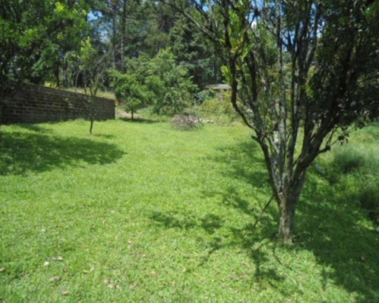 Imagem Casa com 2 Quartos à Venda, 100 m² em Logradouro - Nova Petrópolis