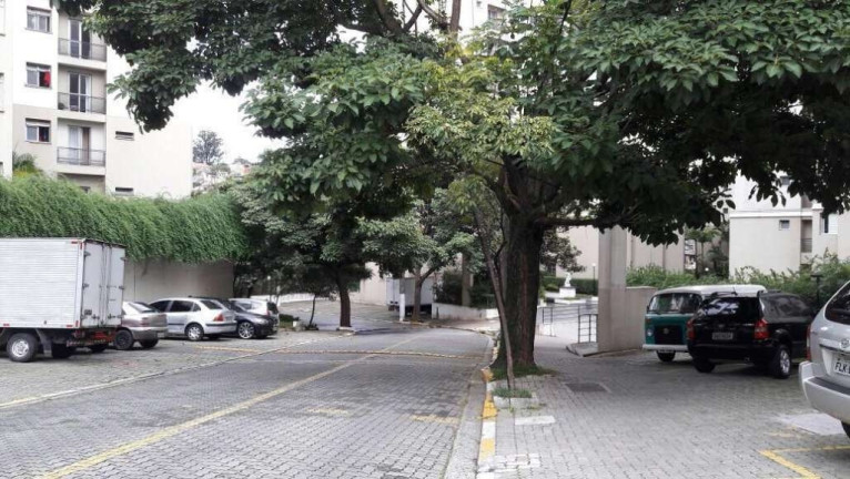 Imagem Apartamento com 2 Quartos à Venda, 58 m² em Vila Das Belezas - São Paulo