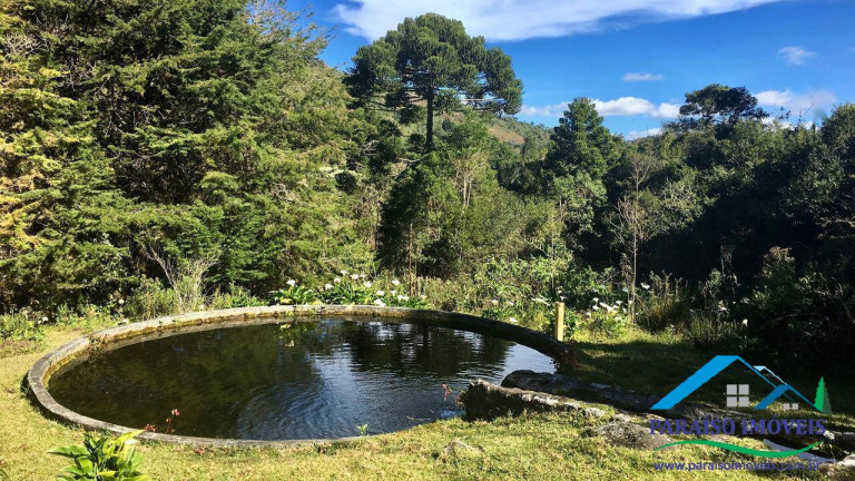 Imagem Chácara com 4 Quartos à Venda, 43 m² em Centro - Sapucaí-mirim