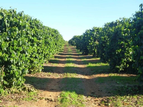 Chácara à Venda, 530 m² em Centro - Piumhi